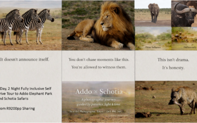 Addo Elephant National Park